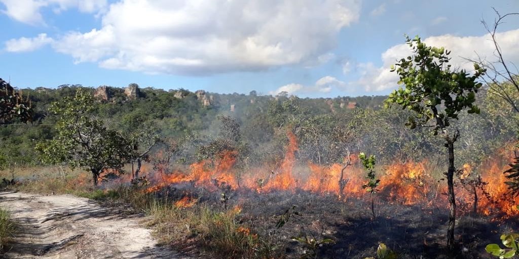 Amazonas-Waldbrände sollen auf G7-Tagesordnung – Brasiliens Präsident Bolsonaro bleibt stur