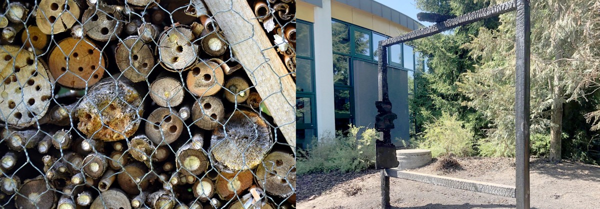 Feuer hätte auf Schule übergreifen können: Unbekannte fackeln Insektenhotel in Steinsel ab