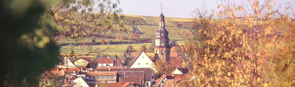 „Wir wollen bleiben, was wir sind“: Kallstadt, ein pfälzisches Dorf mit Verbindungen zu Donald Trump