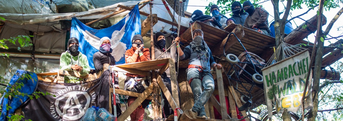 Ein Jahr danach: Der Hambacher Forst und die verpuffte Räumung