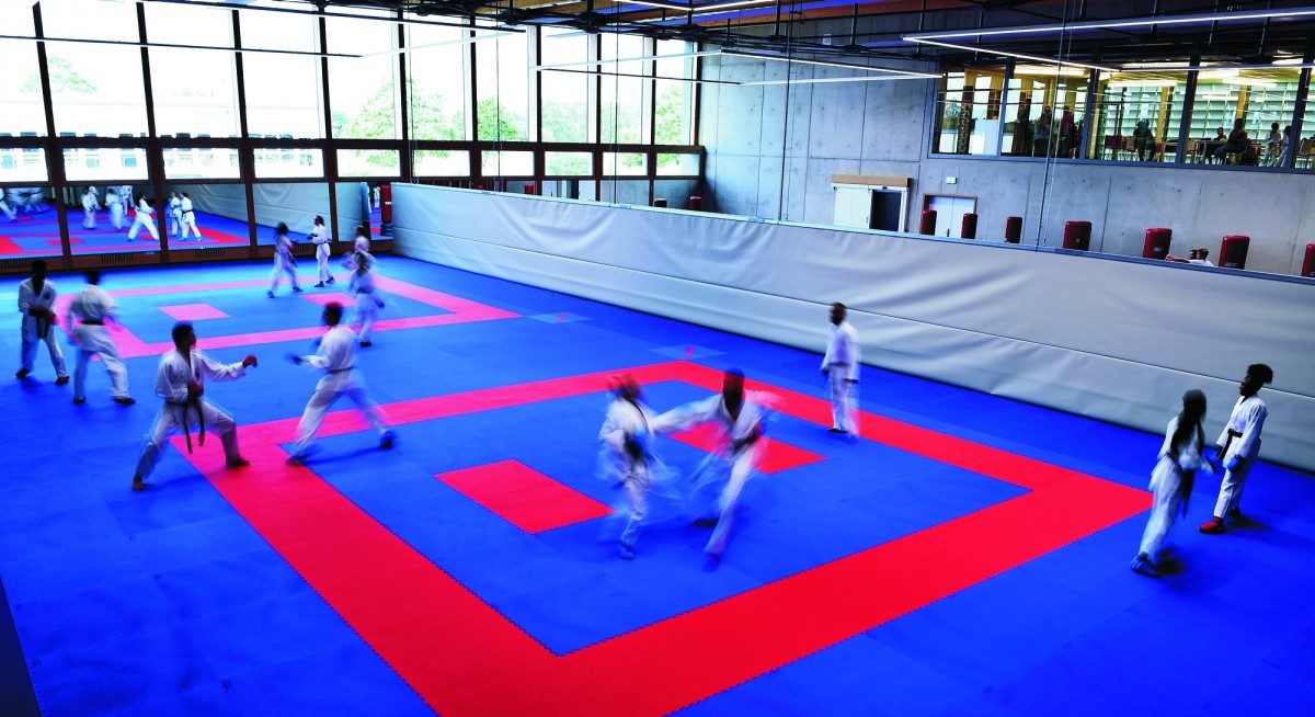 Die Störfeuer sind vorprogrammiert: Neuer Vorstand für die Karate-Sektion der FLAM gewählt