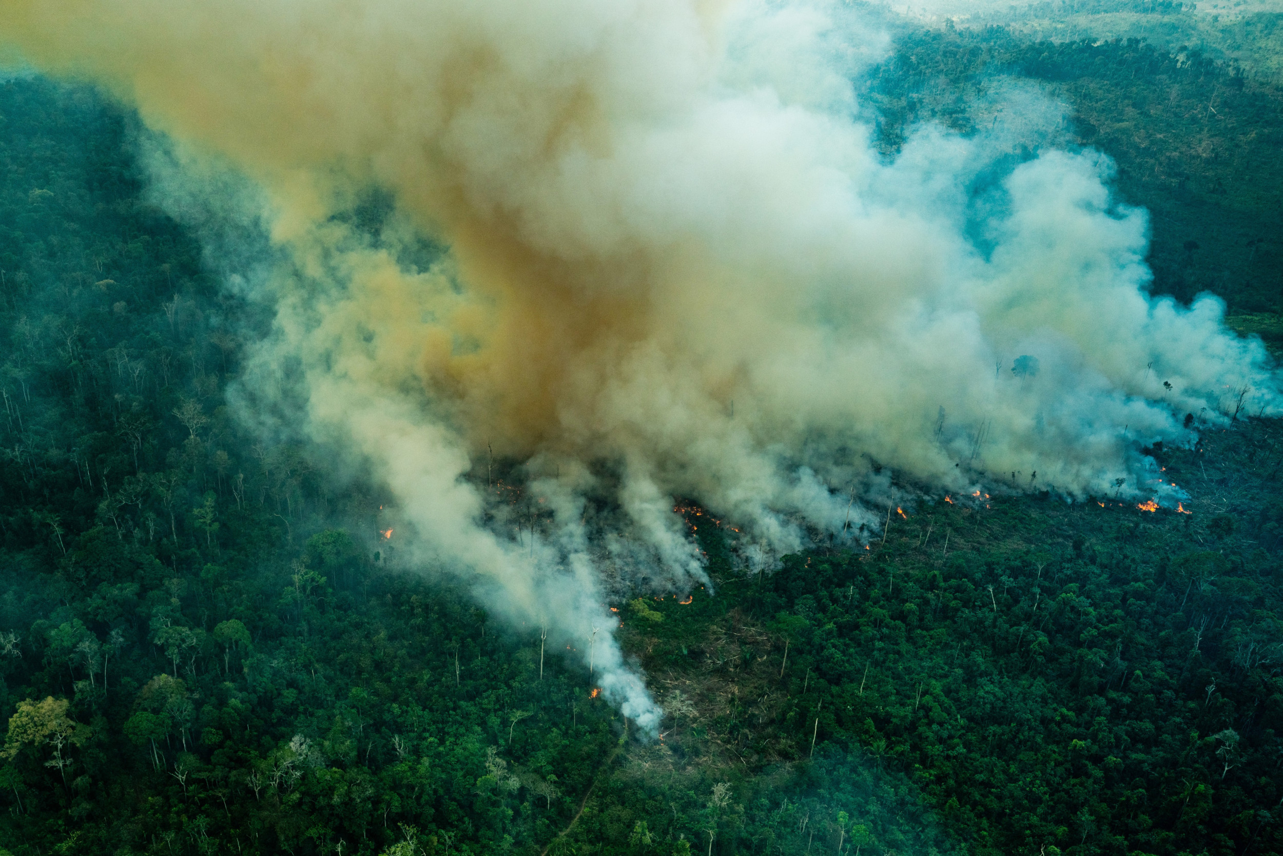 Der Papst und das Feuer