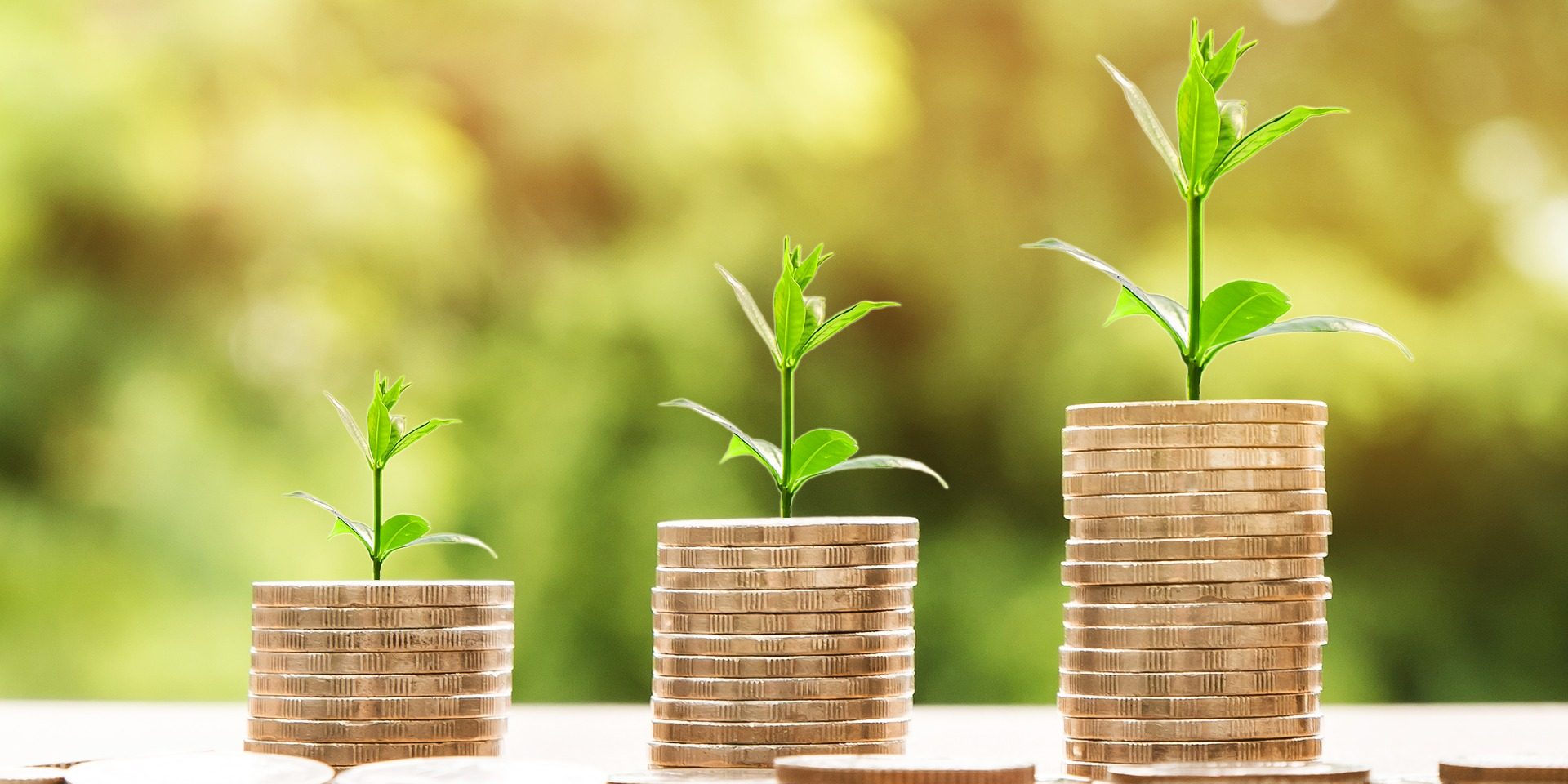 Geheimnis gelüftet: Gramegnas qualitatives Wachstum