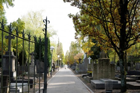 Stille im „Tiergarten“ – Die schützenswerte Vergangenheit auf dem Escher St.-Joseph-Friedhof