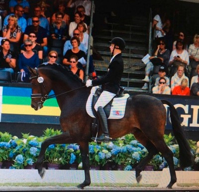 Dressurreiten / Nicolas Wagner für Olympische Spiele in Tokio qualifiziert