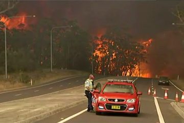 Australien / Mindestens zwölf Menschen sterben im Flammeninferno 