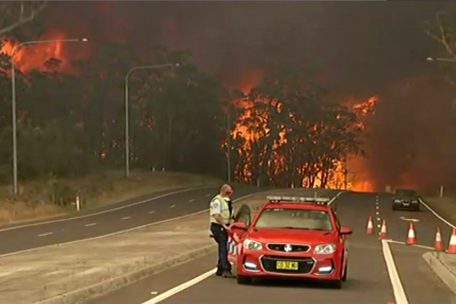 Australien / Mindestens zwölf Menschen sterben im Flammeninferno 