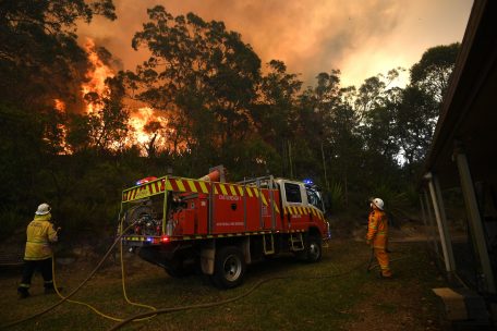 Australien / Premier lässt 3.000 Reservisten gegen Buschfeuer kämpfen