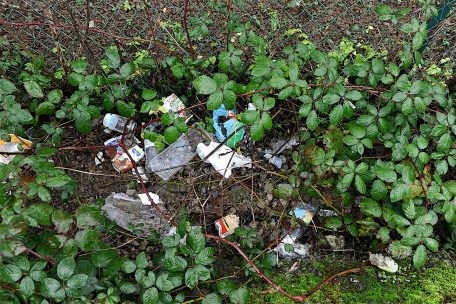 Die Hecke entlang des Parkplatzes neben dem Friedhof gleicht einer Müllhalde