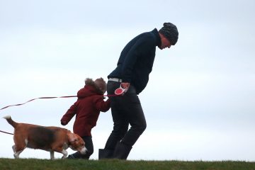 Wetter / Mit „Victoria“ ist am Sonntag ein weiterer Orkan im Anmarsch