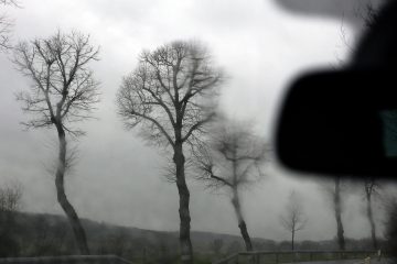 Wetter / Luxemburg erwartet wieder Sturmböen am Wochenende 