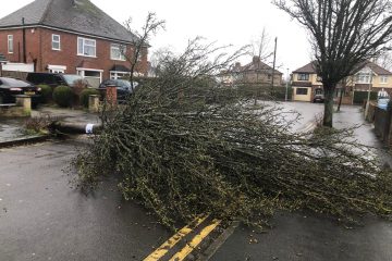 Wetter / Meteolux warnt vor Sturmböen von bis zu 100 km/h