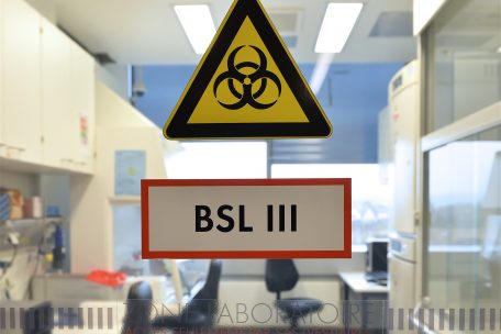 In einem speziellen Labor wie diesem wird das Virus desaktiviert. Danach ist er nicht mehr ansteckend.