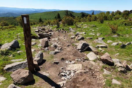 Ein weißer Strich begleitet die Wanderer auf ihrem Weg nicht nur durch die Grayson Highlands in Virginia. Der „white blaze“ ist ein ständiger Begleiter bis nach Maine.