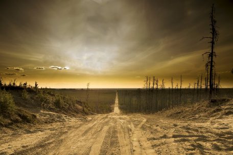 Penser la crise avec la littérature / Le langage de la fin, la fin du langage: comment exprimer la fin du monde? 