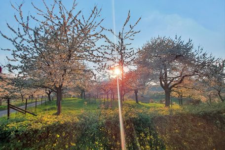 Fotoreportage / Lockdown bietet die Möglichkeit, die Natur zu entdecken