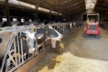 Viele Landwirte fürchten die Auswirkungen der Corona-Krise auf die Märkte