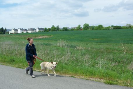 Bis zu hundert Besucher stehen an normalen Wochenenden vor dem Asyl Schlange, um mit den Hunden Gassi zu gehen. Aktuell aber müssen sich die Mitarbeiter so organisieren, dass jeder Liebling mal vor die Tür kann. 