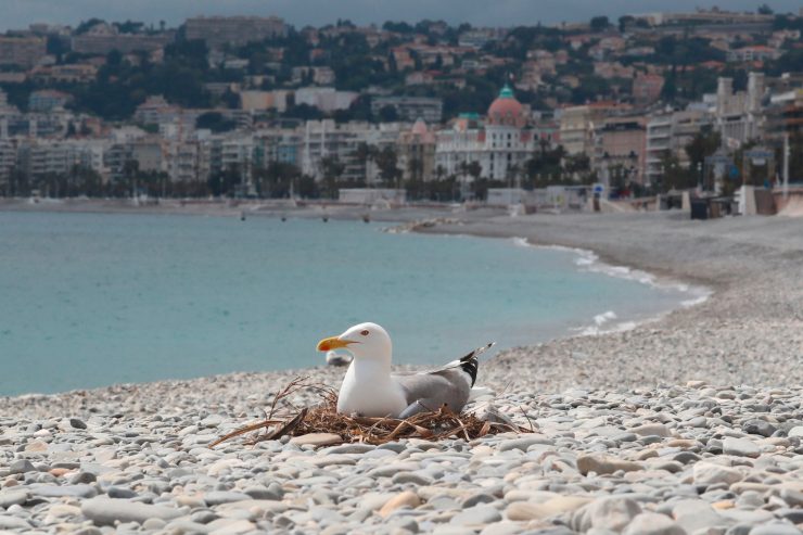 Zweitwohnsitz  / Reisen zum Feriensitz bleibt vorerst ein Traum 