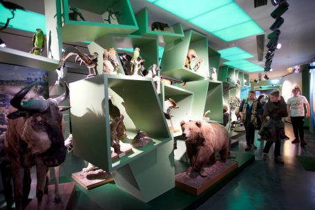 Le „natur musée“ veut offrir à ses visiteurs un air de „Stuff doheem“