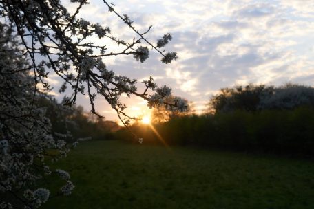 Ecrire le confinement (3) / Inquiétude et insouciance: pourquoi la pandémie déclenche une impression de vacances étranges