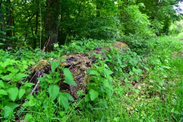 natur&ëmwelt / Klimakrise darf wegen Corona nicht vergessen werden