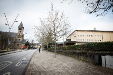 Mietprozess / Experte schätzt Mietwert einer 90-Quadratmeter-Wohnung in Limpertsberg auf 268 Euro