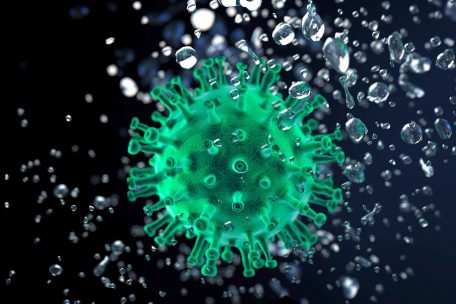 Corona-Epidemie / 3.981 Menschen in Luxemburg positiv auf Corona getestet – Zahl der Toten bleibt bei 109