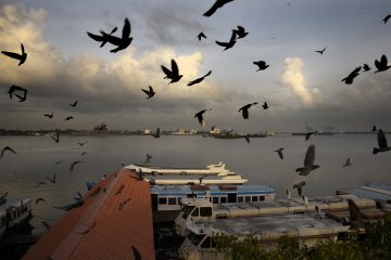 Indien / Wie das kommunistisch regierte Kerala die Pandemie in Schach hält