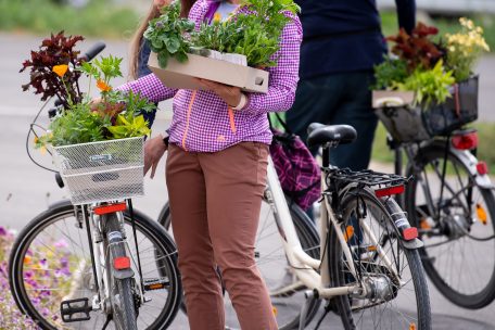 Parlamentsdebatte / Weiter wie gehabt oder ökologische Erneuerung?