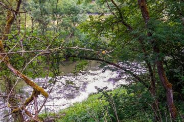 Echternach / Seifige Substanz in der Sauer: Angler schlagen wegen „Brühe“ Alarm