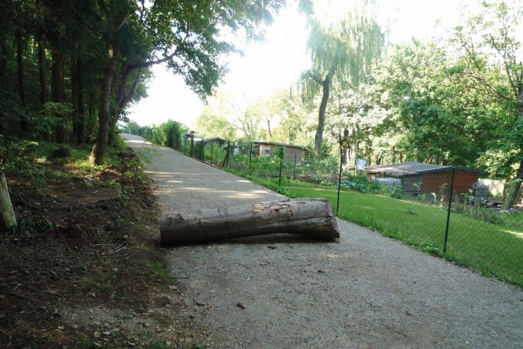 Esch/Alzette / Gemeinde dreht Schrebergärten nach Vandalismus den Wasserhahn zu