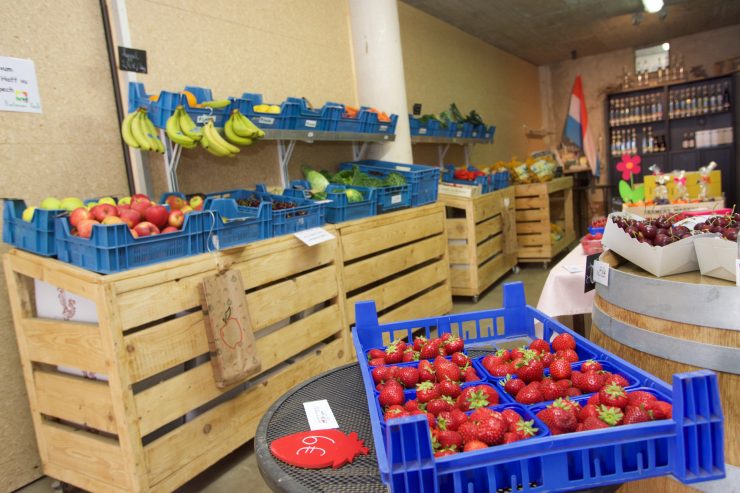 Landwirtschaft  / In Luxemburg gibt es zu wenig Gemüse und Obst aus Eigenanbau