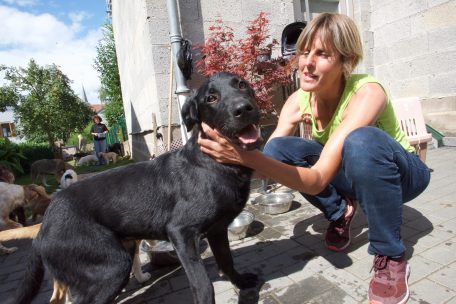 Christelle Jussac besitzt selbst fünf Hunde