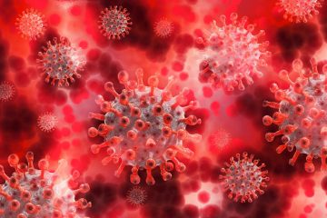 Corona-Epidemie  / 47 weitere Menschen sind positiv auf Corona getestet worden 