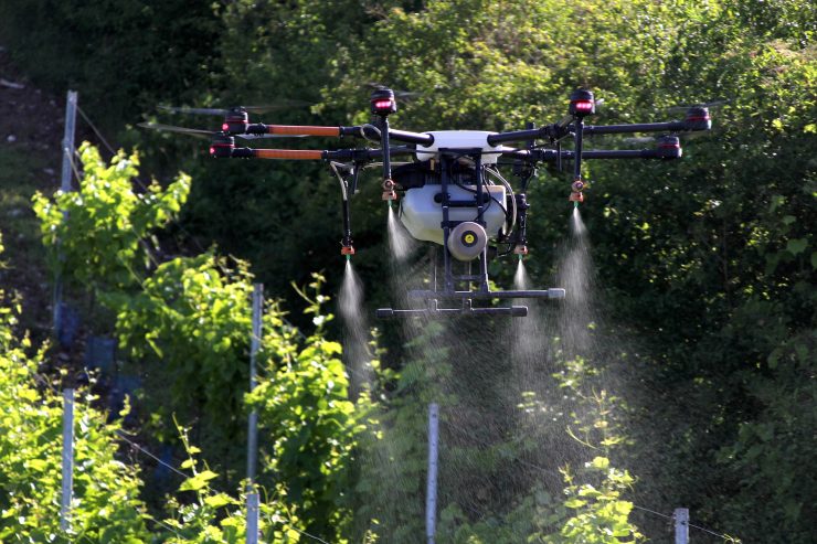 Mosel / Drohnen-Spraying im Weinberg: umweltschonend und äußerst effizient