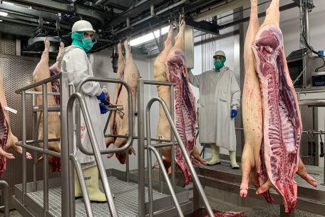 Schlachthöfe / „Hier wird Hygiene groß geschrieben“