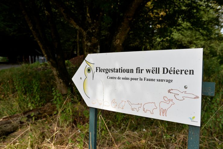 Wildtier-Auffangstation / In Düdelingen ist der erste Spatenstich für die Erweiterung der „Fleegestatioun“ gemacht