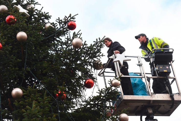 Winter is coming / Luxemburg-Stadt sucht nach 30 Weihnachtsbäumen