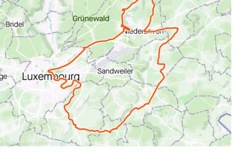Route D: Die Statistiken laut Sport-Tracking-App Strava