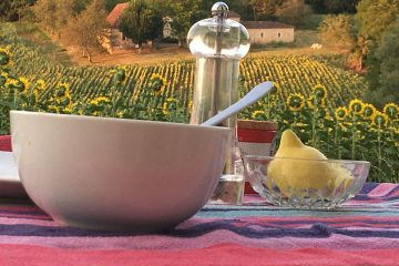 Eine Reise durchs Périgord / Polizeichef Bruno macht den Reiseführer