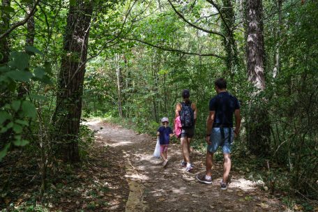 Die Familie übernachtet in den Baumhäusern und hat sich der Aktivität angeschlossen, ohne zu wissen, was auf sie zukommt