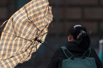 Gelber Wetteralarm / „Stürmischer Wind“ fegt über Luxemburg – bisher keine Schäden
