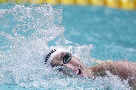 Schwimmen / Raphaël Stacchiotti: Haus, Hochzeit, Zwillinge und Schwimmen