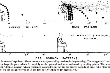 Diese Abbildung aus einer Studie von 1948 zeigt die Flugbahn von Tröpfchen beim Niesen. Die Wissenschaftler unterschieden lediglich zwischen zwei Arten von Tropfen. (Entfernungen in feet)
