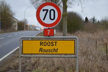 Verteilerkreis Roost / Teil- contra Gesamtlösung 