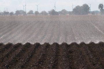 Hitzewelle / Staatlicher Wetterdienst AgriMeteo vermeldet zweitwärmsten August seit 1838