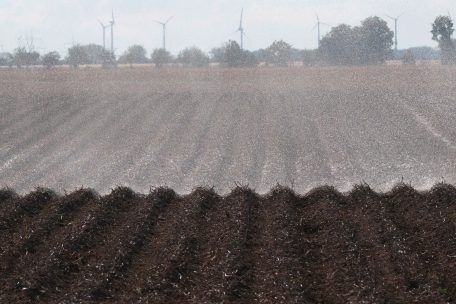 Hitzewelle / Staatlicher Wetterdienst AgriMeteo vermeldet zweitwärmsten August seit 1838