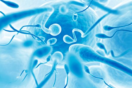 Kostenrückerstattung / Verhütungsmittel sollen in Luxemburg bald für alle kostenlos sein