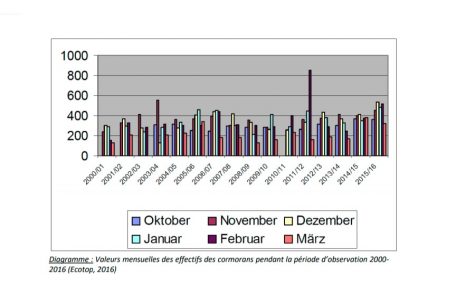Grafik: Die beobachteten Kormoran-Bestände im Herbst/Winter von 2000 bis 2016